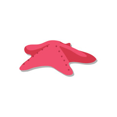 Pink Starfish Sea Ocean Marine Animal