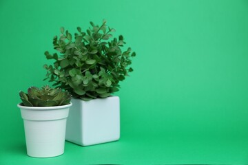 Beautiful plants in white pots on green background, space for text