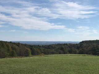 green field and blue sky