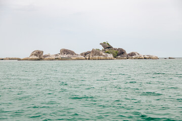 Fototapeta premium eagle stone island 