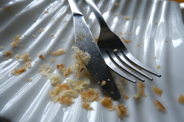 Empty plate with crumbs and cutlery after meal