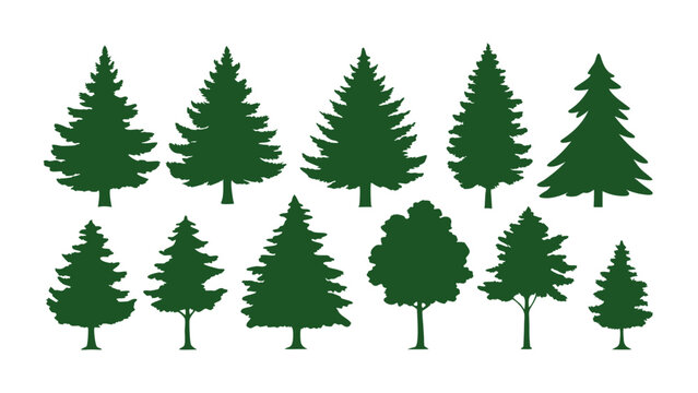 A row of evergreen tree silhouettes in various sizes