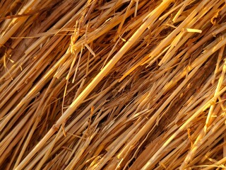texture of straw