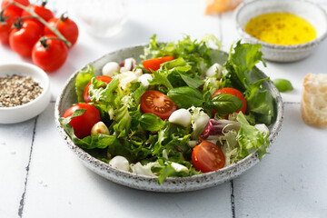 Healthy leaf salad with tomatoes and mozzarella cheese