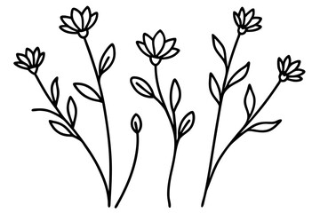 Minimalist Wildflower Botanical Line Art Set of Five Floral Stems