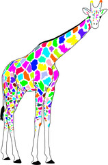 giraffe, africa, animal, colorful giraffe, color animal illustration