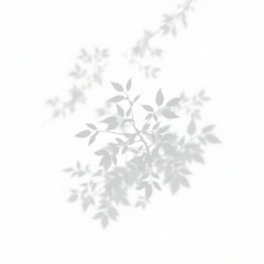 shadow overlay effect. Gray shadow of leaves isolated on white background. Plant foliage leaf shadow light effect. Mockup Blurred tree branch shadow. Ideal for summer spring design elements PNG