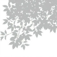 shadow overlay effect. Gray shadow of leaves isolated on white background. Plant foliage leaf shadow light effect. Mockup Blurred tree branch shadow. Ideal for summer spring design elements PNG