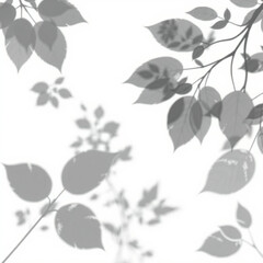 shadow overlay effect. Gray shadow of leaves isolated on white background. Plant foliage leaf shadow light effect. Mockup Blurred tree branch shadow. Ideal for summer spring design elements PNG