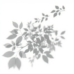 shadow overlay effect. Gray shadow of leaves isolated on white background. Plant foliage leaf shadow light effect. Mockup Blurred tree branch shadow. Ideal for summer spring design elements PNG