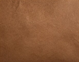Fototapeta premium a brown paper with a grainy texture