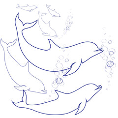 Delphine's blue line drawing vector
