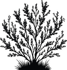Black silhouette bush & shrub vector illustration isolated on a white background