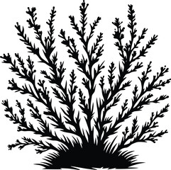 Black silhouette bush & shrub vector illustration isolated on a white background