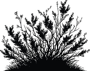 Black silhouette bush & shrub vector illustration isolated on a white background