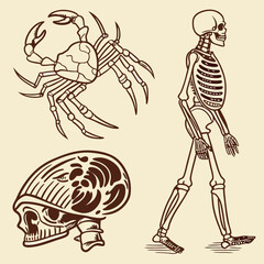 set-of-hand-drawn-halftone-anatomy-elements--vinta (1)