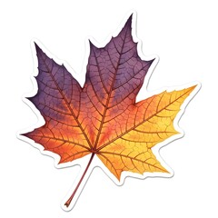 Obraz premium Autumn Maple Leaf In Watercolor