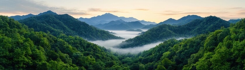 Aerial View of a Misty Sunrise in a Foggy Forest Surrounded by Majestic Mountains and Lush Green Trees