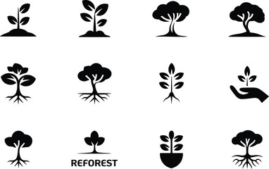 Black Silhouettes of Trees Saplings and Roots Reforest