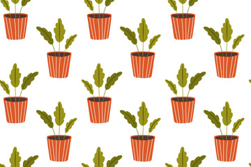 Seamless pattern with house plants. Hand drawn vector illustration of flowers in pots on white background
