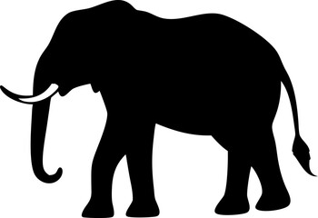 Fototapeta premium White isolated elephant vector illustration with trunk and tusk, a large mammal silhouette walking in nature