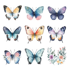 Butterfly vector illustration set _ Colorful butterfly collection in vector style, transparent PNG great for botanical decor, pattern design, or spring graphics.
