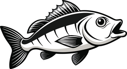 Bold Sea Bass Outline Vector Art.