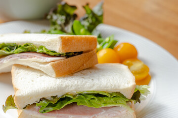 Ham Sandwich and Salad Breakfast on White Plate / ハムサンドとサラダの朝食
