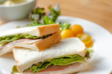 Ham Sandwich and Salad Breakfast on White Plate / ハムサンドとサラダの朝食
