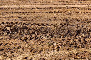 Empty land plot with tire prints prepared for new housing in rural area. Clearing and leveling of...