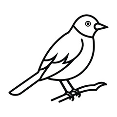 bird on a branch