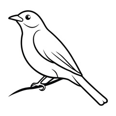 vector illustration of a bird