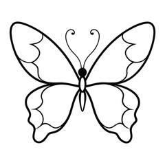 butterfly vector illustration