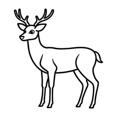 Fototapeta premium deer vector illustration