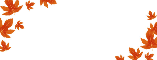autumn leaves on white background for autumn theme banner design