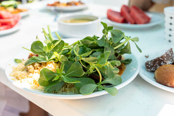 Fresh green salad with herbs and grains served on a white plate in a bright outdoor setting