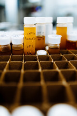 Medical Marijuana 
