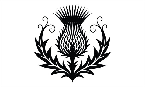 Elegant thistle flower silhouette vector design