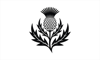 Elegant thistle flower silhouette design in a classic botanical style