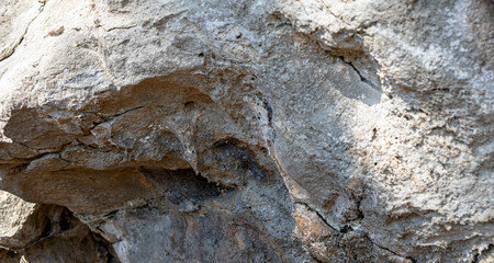 Close-up view of textured rock surface showcasing natural patterns and earthy tones in sunlight