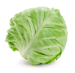 One whole fresh cabbage isolated on white