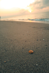 Seaside Stillness — Shell in the Sand with Ocean in the Background at Sunrise