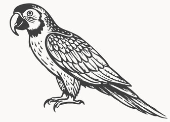 Black Silhouette parrot on twig. bird, fauna, wildlife. tropics concept Creative vector cartoon illustration