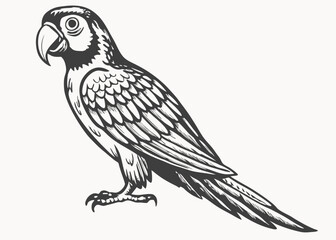 Black Silhouette parrot on twig. bird, fauna, wildlife. tropics concept Creative vector cartoon illustration