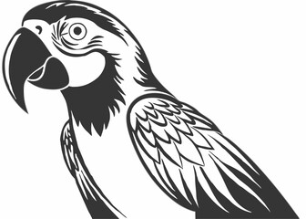 Macaw flying bird vintage style Minimalist concept vector illustration