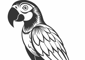 Macaw flying bird vintage style Minimalist concept vector illustration