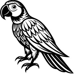 Silhouette Macaw parrot Illustration clipart isolated on white background