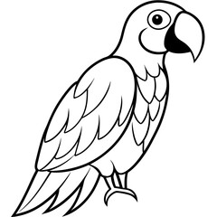 parrot bird standing happy coloring pages line art vector illustration	