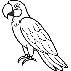 parrot bird standing happy coloring pages line art vector illustration	