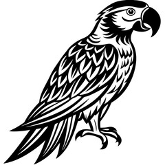 Silhouette Macaw parrot Illustration clipart isolated on white background